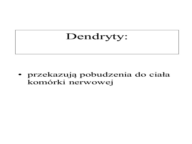 Dendryty: przekazują pobudzenia do ciała komórki nerwowej